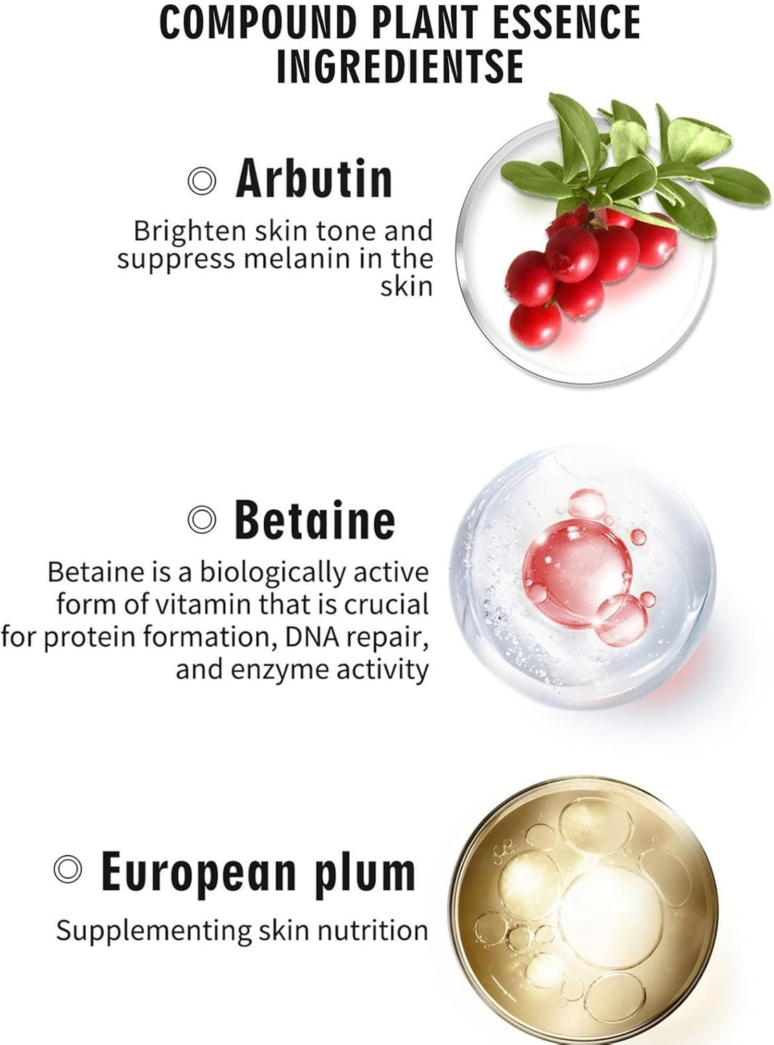 Facial Beauty Anti Aging Moisturizer