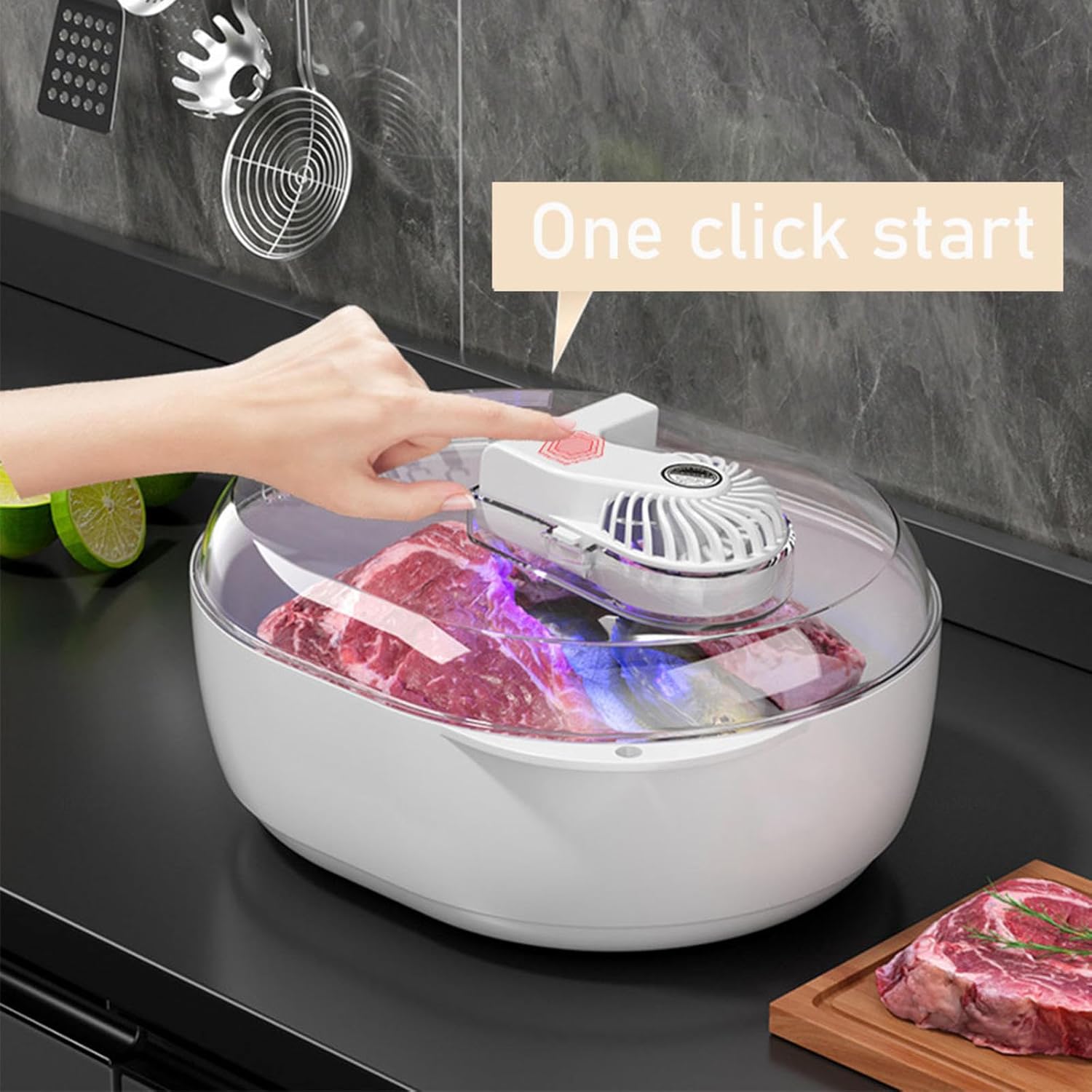 Meat Defroasting Machine